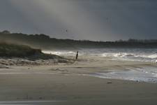 Niespokojna plaża