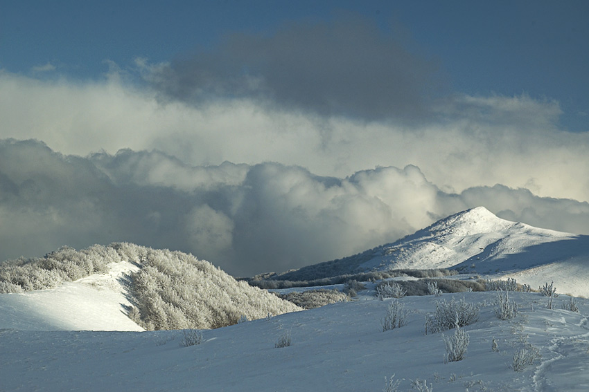 Bieszczady