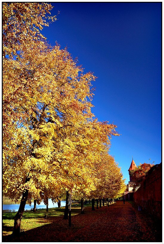 Malbork jesiennie