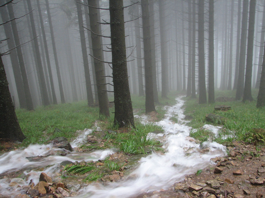 Powrót ze Śnieżnika 2006