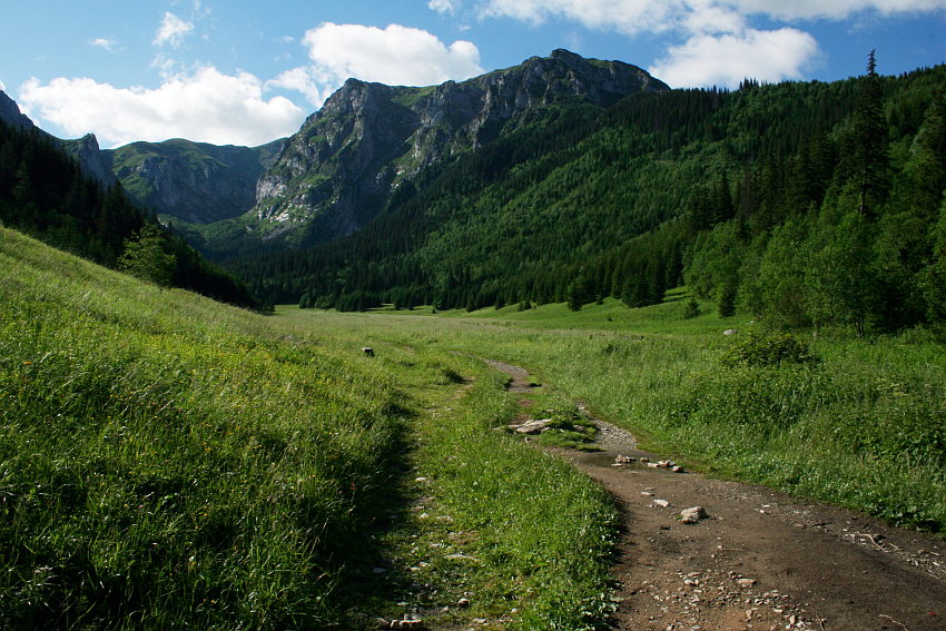 Dolina Małej Łąki