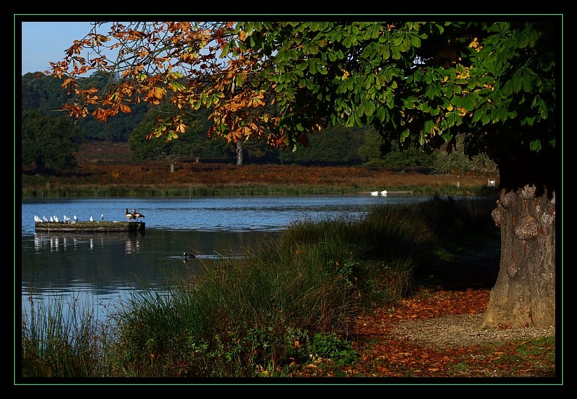 Jesienią malowane