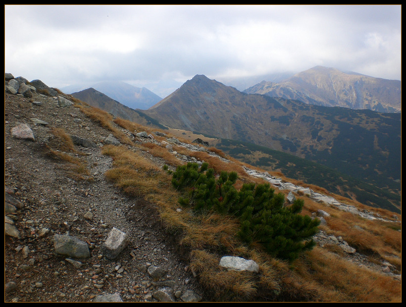 ...w drodze na Czerwone Wierchy...