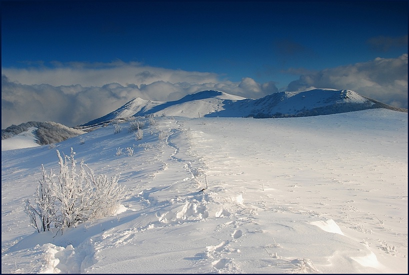 Bieszczady, przeł Orłowicza