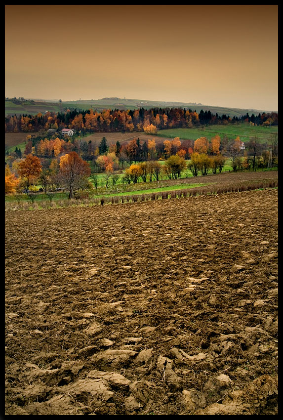 Słowikowa