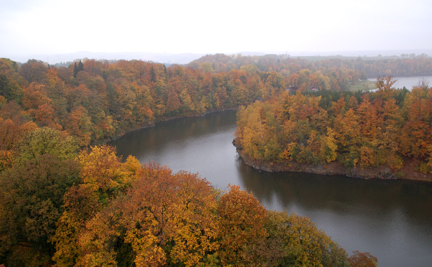 polska jesienna Amazonka