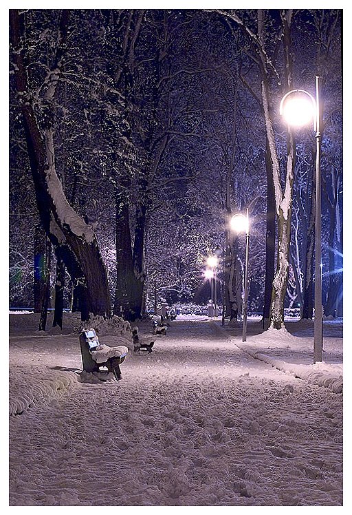 park zimową noca