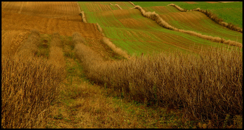 lubelszczyzna