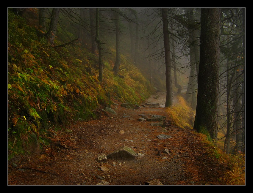 Tatrzańskie szlaki... (X.2007)