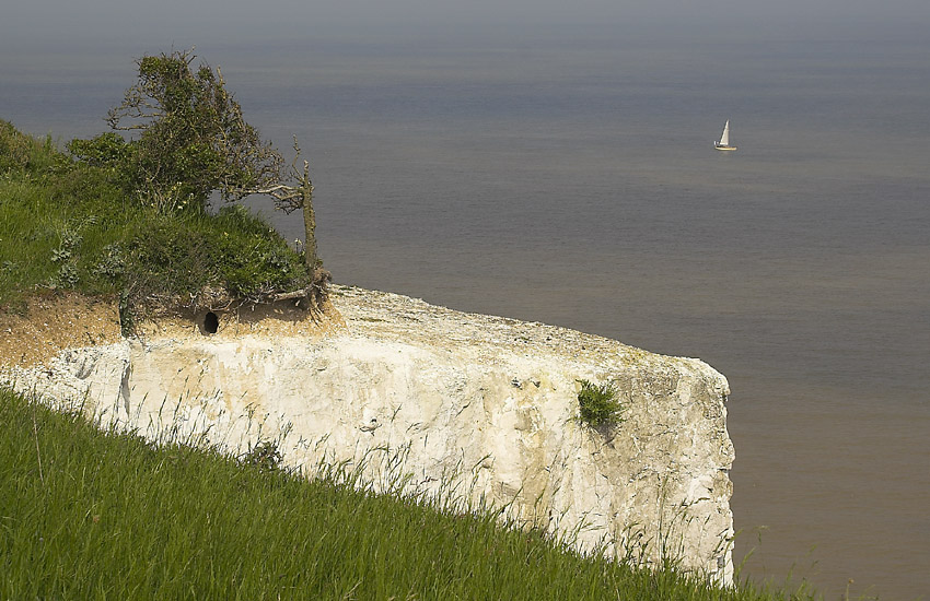 white cliffs