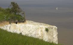 white cliffs