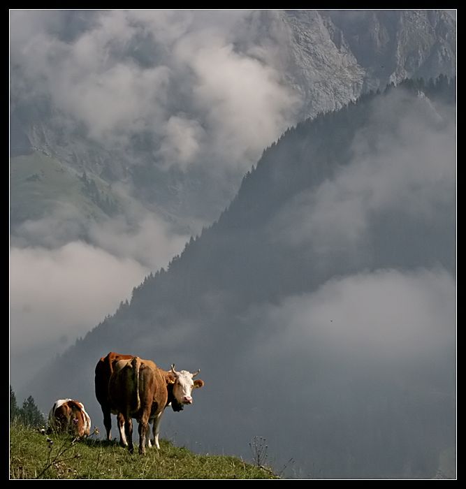 Champery