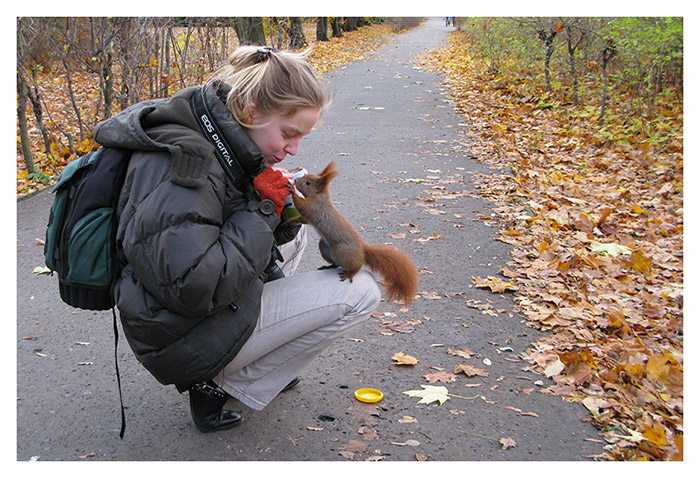 Squirrel Whisperer