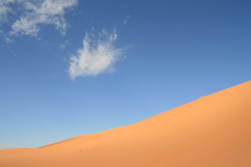 Sahara