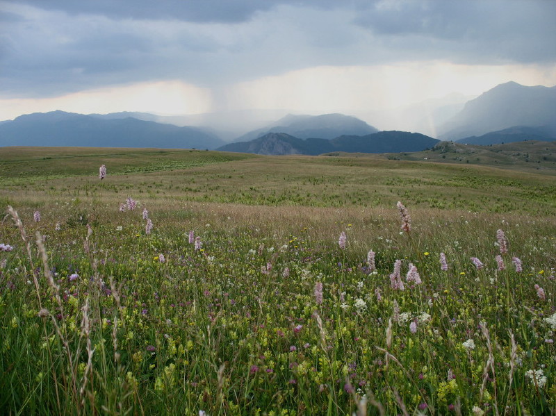 Durmitor