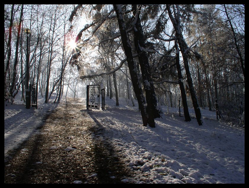 Park Podgorski zaprasza...