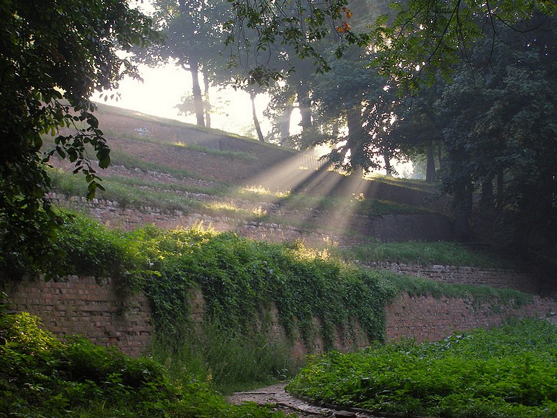 Park w Puławach