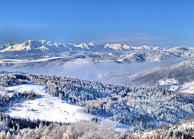 Zimowy widok na Tatry