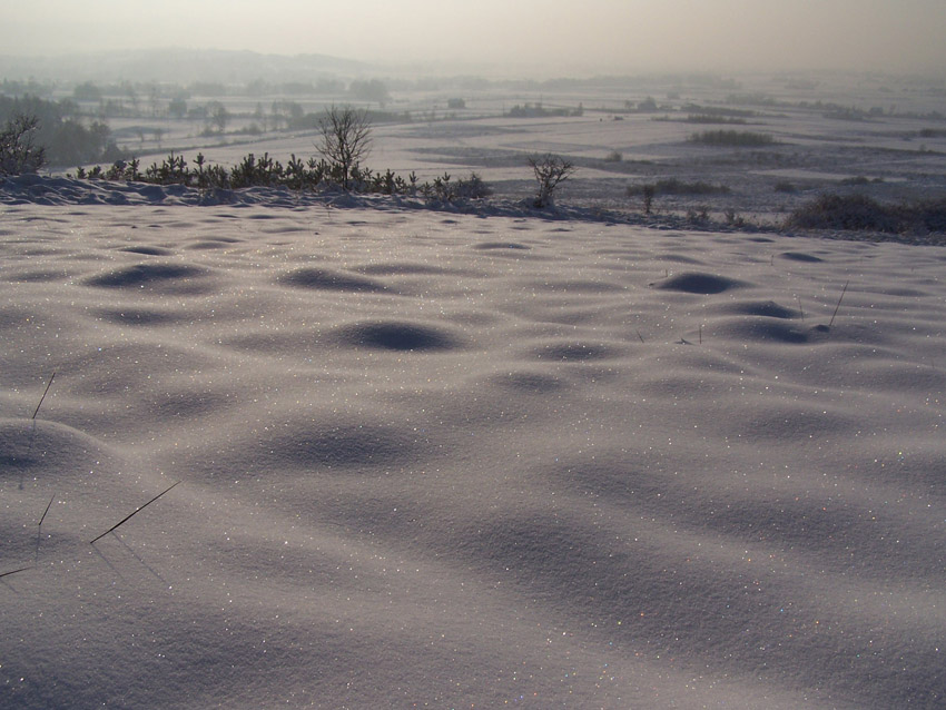 beskid niski