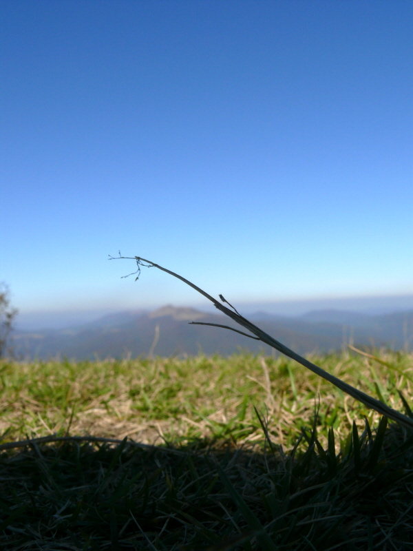 Bieszczady