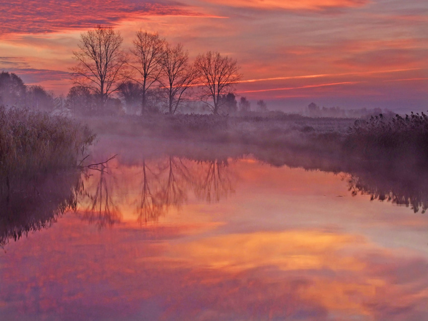 Chłodny powiew poranka