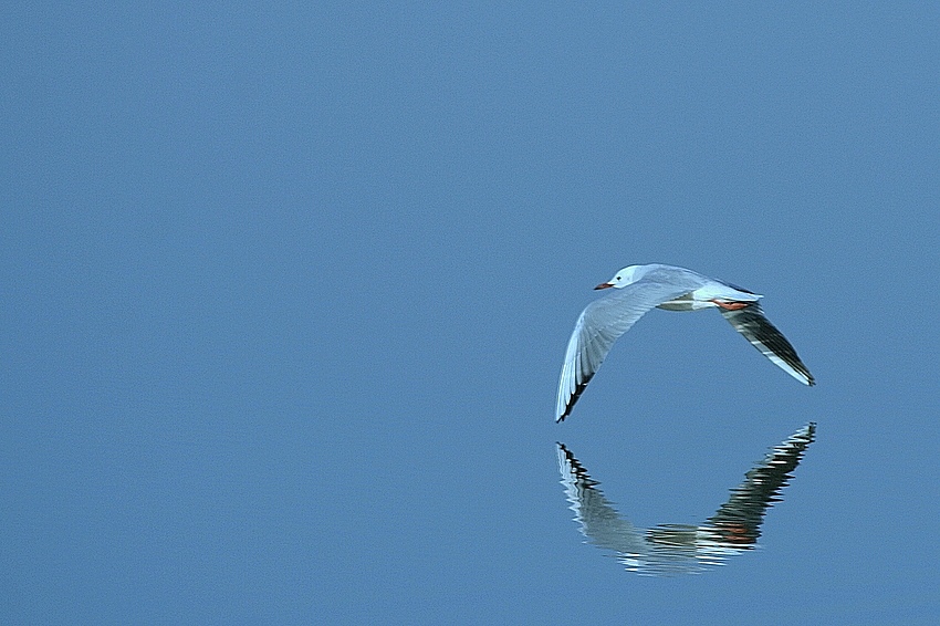 popołudnie nad Mar Menor