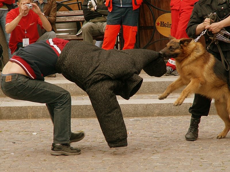 Oddaj mi to.....