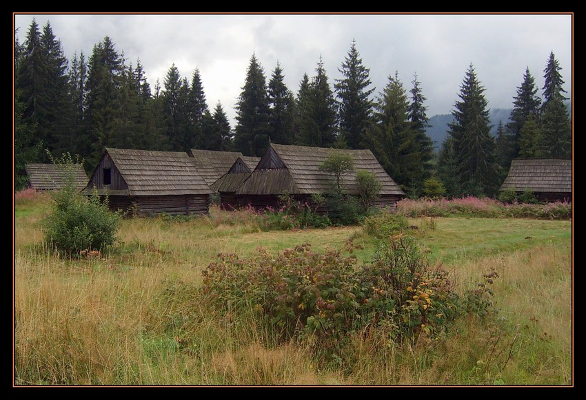 Na Polanie Podokólne