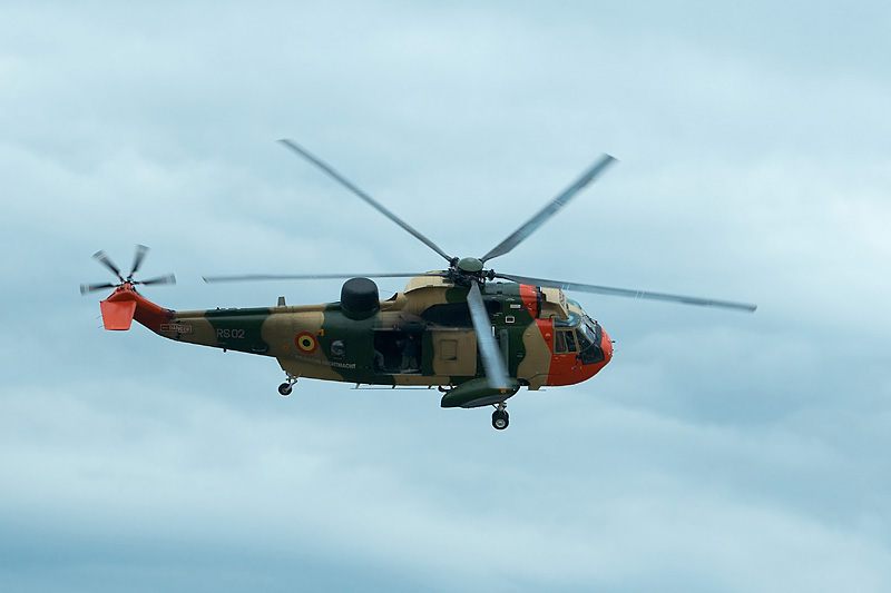 sea king