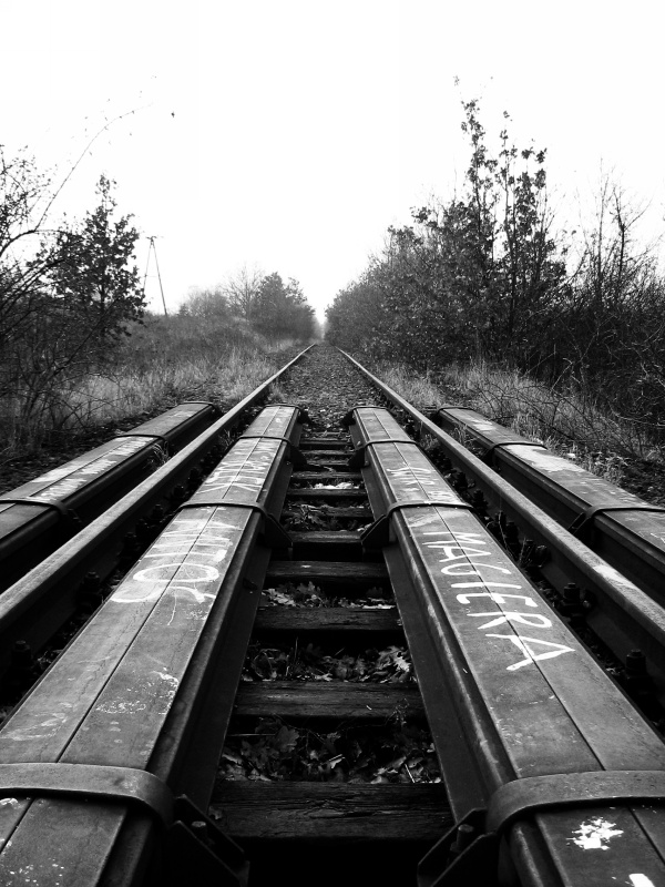 Abandoned railroad