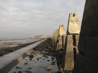 Cramond Island