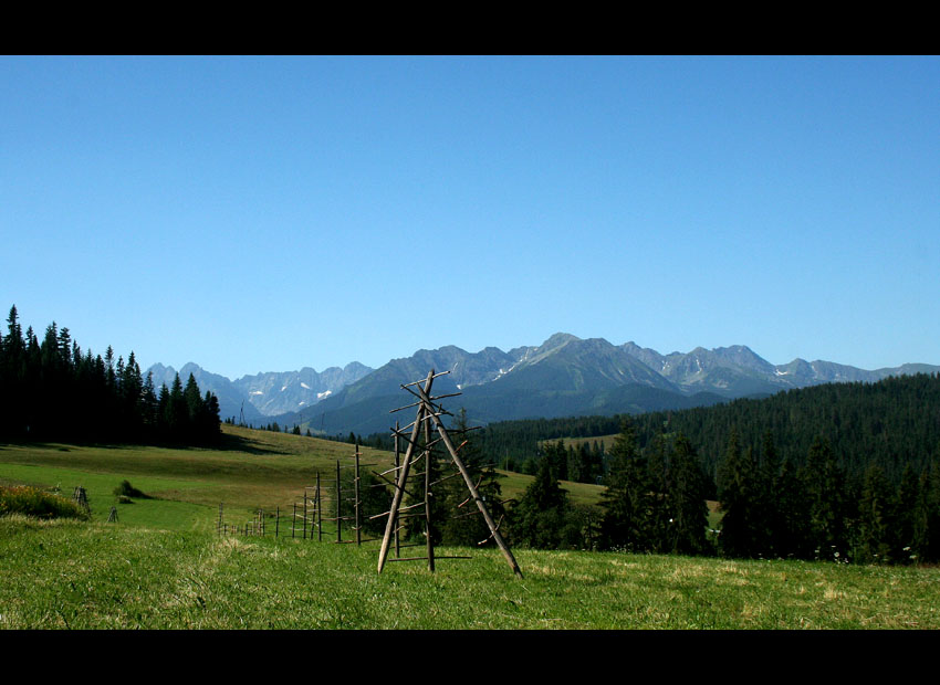 Tatry z Bukowiny