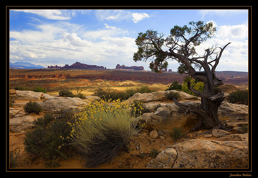 Arches National Park cz. II