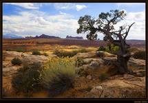 Arches National Park cz. II