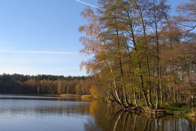 Zimą troche jesieni... bo zima narazie mało przyjemna.