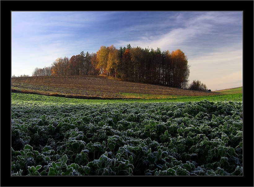 Zamek na wzgórzu