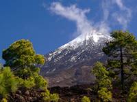 Teide