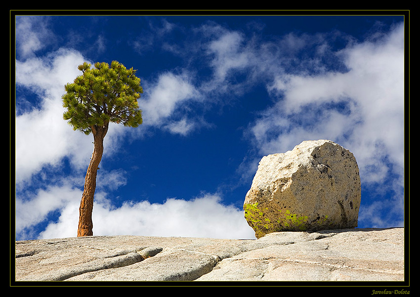 Yosemite National Park cz. II