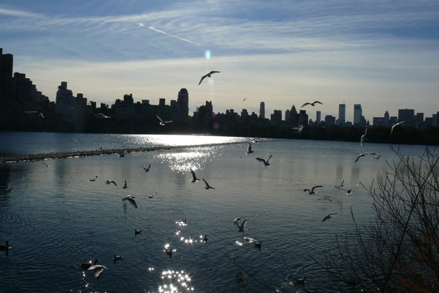 New York- widok z Central Park