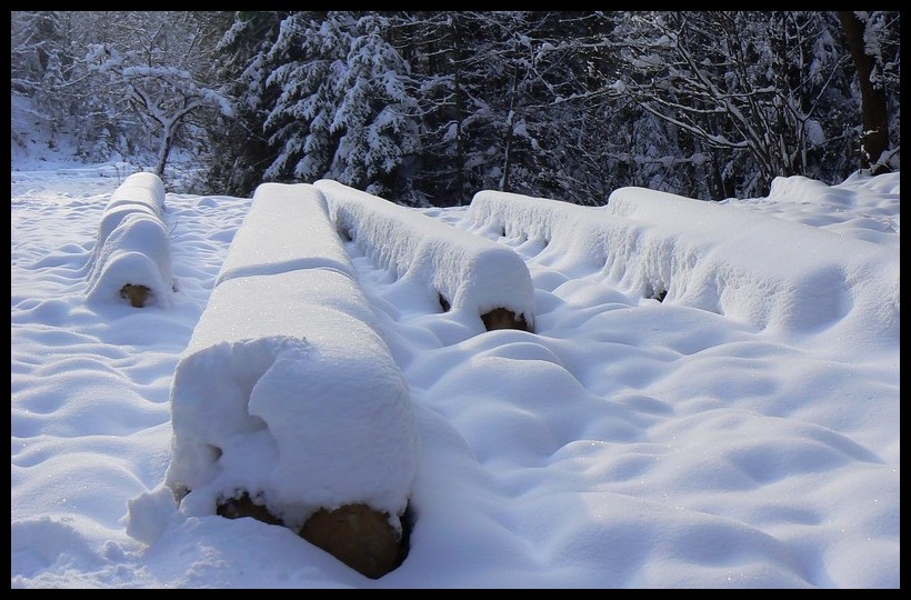 Świeży śnieg