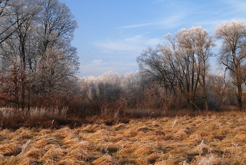 grudzień