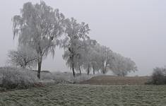 Czekając na zimę III...