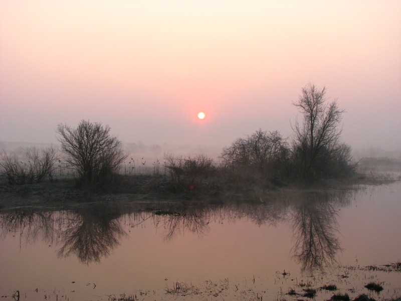 Wschód Narew