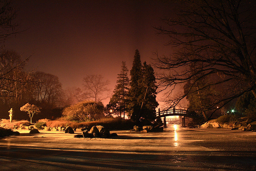 nocą w parku