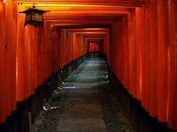 Fushimi Inari