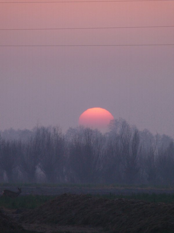 gorąca linia 2