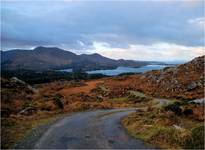 Ring of Beara