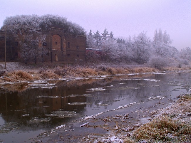 Fort nad Cybiną