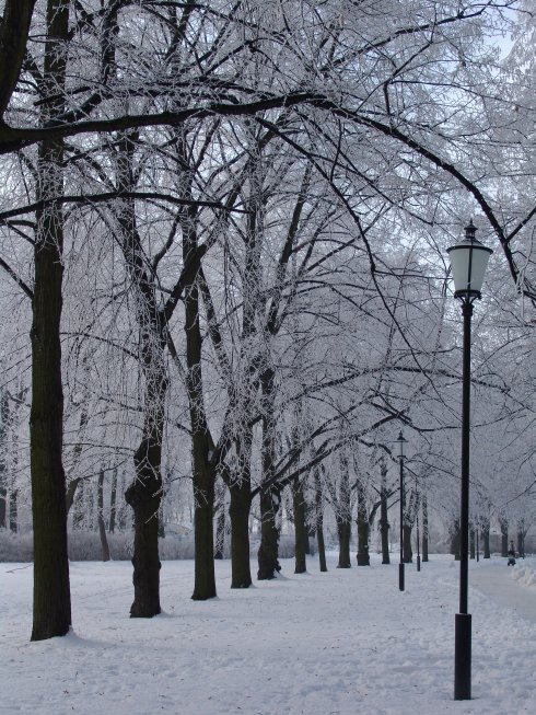 PArk Poniatowskiego -Łódź