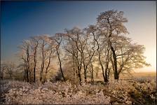 23.12.2007 w Zachodniopomorskim